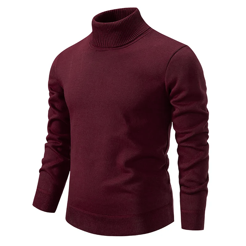 Klassischer Rollkragenpullover für Männer - Gysbert